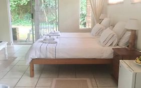 The Willow Studio